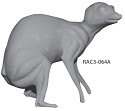 RAC3-064A